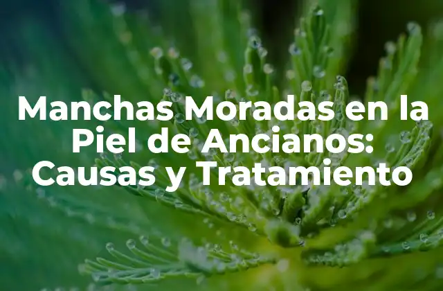 Manchas Moradas en la Piel de Ancianos: Causas y Tratamiento