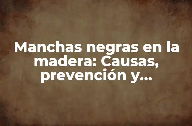 Manchas Negras en la Madera: Causas, Prevención y Tratamiento