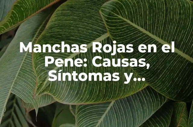 Manchas Rojas en el Pene: Causas, Síntomas y Tratamiento