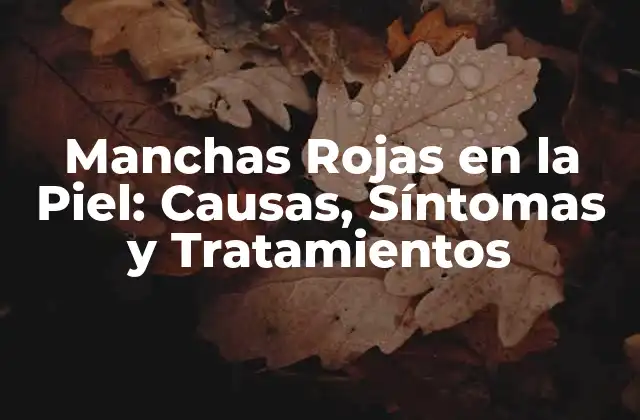 Manchas Rojas en la Piel: Causas, Síntomas y Tratamientos