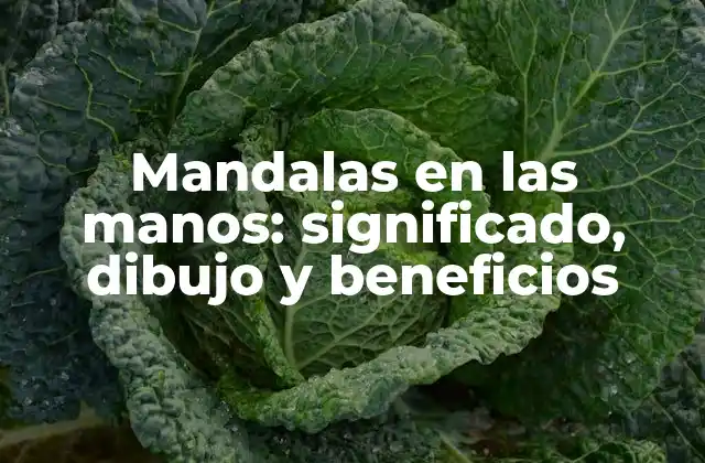 Mandalas en las Manos: Significado, Dibujo y Beneficios