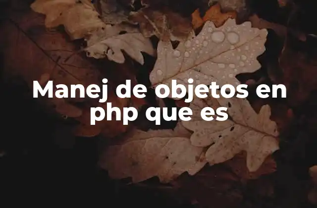 Manej de Objetos en Php que es