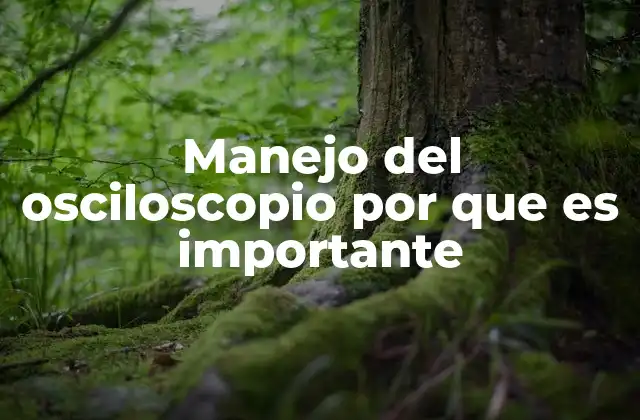 Manejo Del Osciloscopio por que es Importante