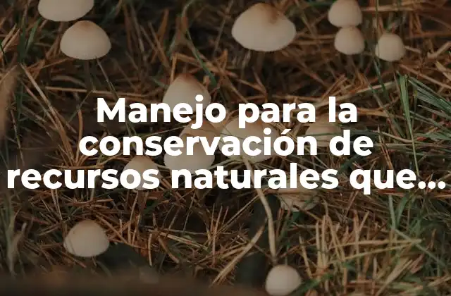Manejo para la Conservación de Recursos Naturales que es