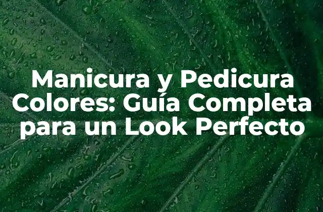 Manicura y Pedicura Colores: Guía Completa para un Look Perfecto