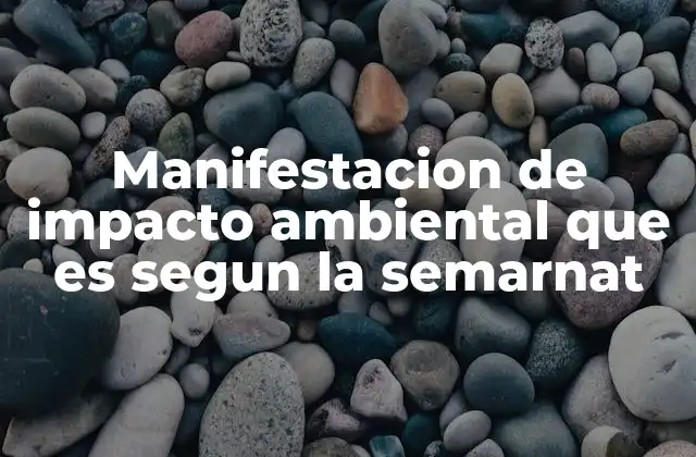Manifestacion de Impacto Ambiental que es Segun la Semarnat