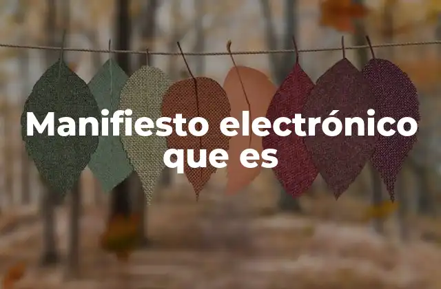 Manifiesto Electrónico que es