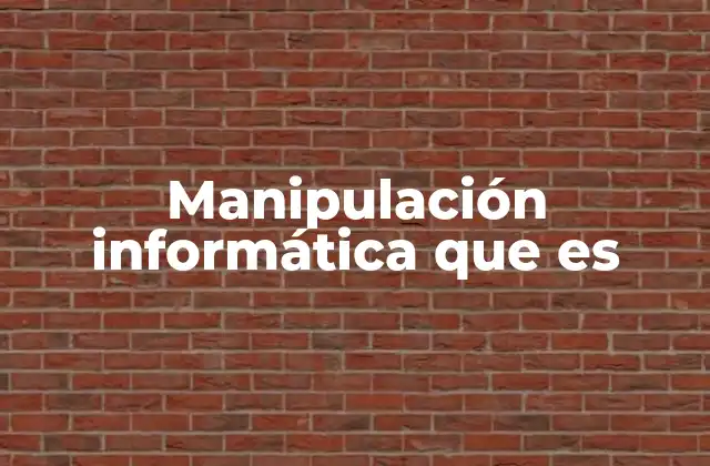 Manipulación Informática que es