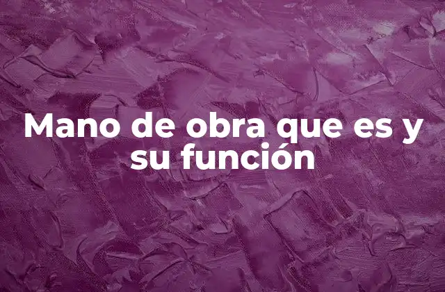 Mano de Obra que es y Su Función