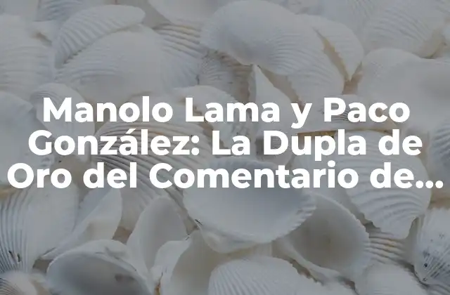 Manolo Lama y Paco González: la Dupla de Oro Del Comentario de Fútbol en Fifa