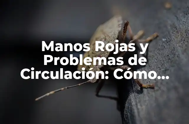 Manos Rojas y Problemas de Circulación: Cómo Identificar y Tratar