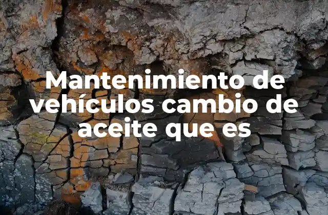 Mantenimiento de Vehículos Cambio de Aceite que es