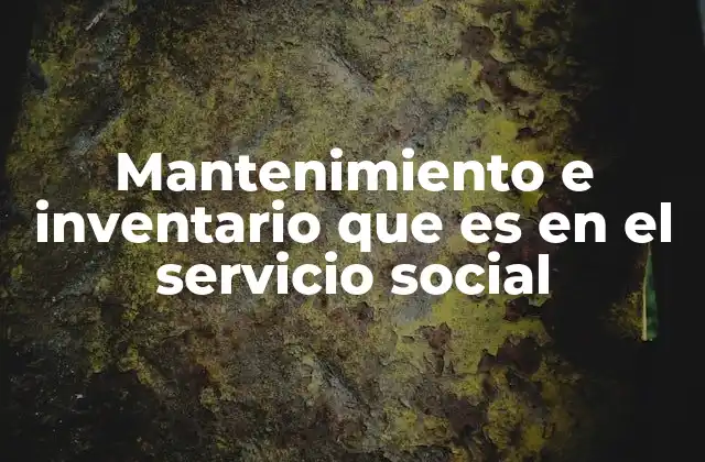 Mantenimiento e Inventario que es en el Servicio Social