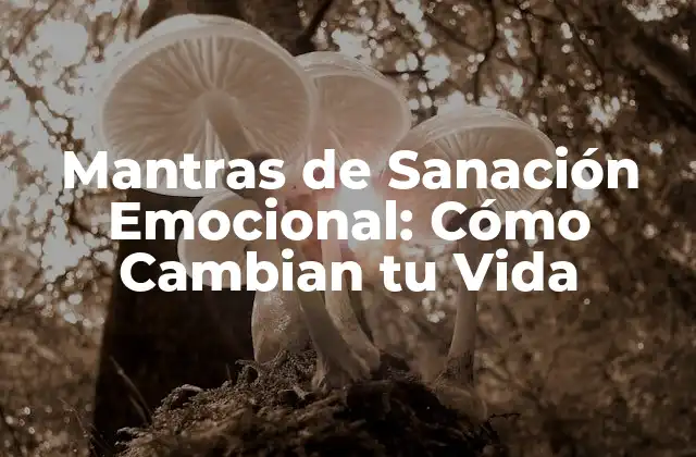 ¿Qué son los Mantras de Sanación Emocional?
