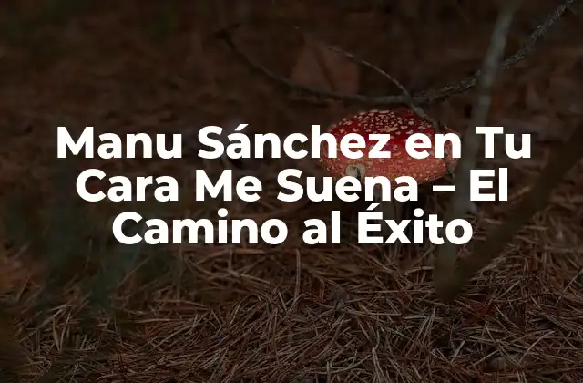¿Quién es Manu Sánchez?