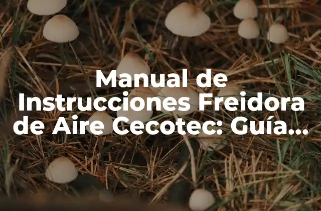 Manual de Instrucciones Freidora de Aire Cecotec: Guía Completa para Cocinar Saludable