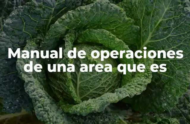 Manual de Operaciones de una Area que es