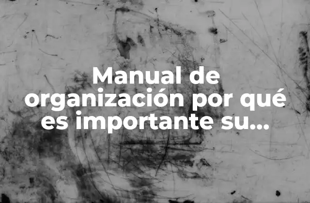 Manual de Organización por Qué es Importante Su Utilización