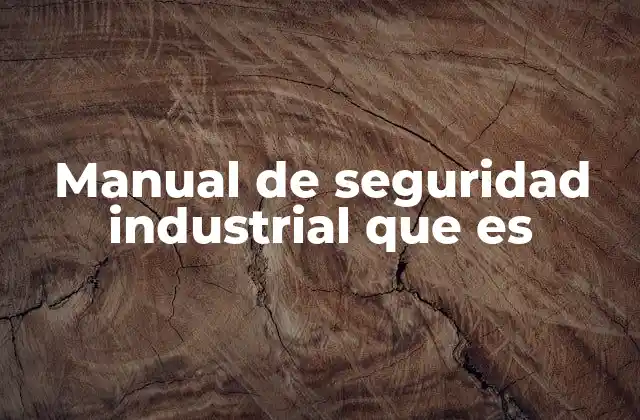 Manual de Seguridad Industrial que es