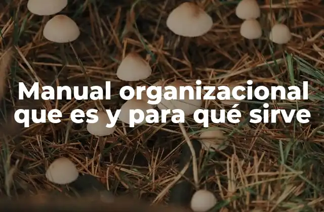 Manual Organizacional que es y para Qué Sirve