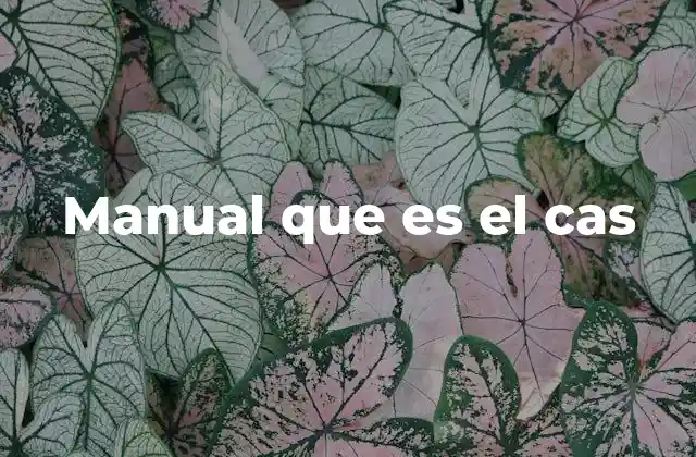 Manual que es el Cas