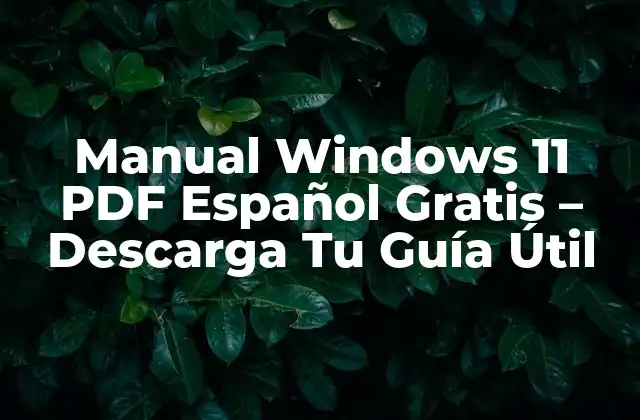Manual Windows 11 Pdf Español Gratis – Descarga Tu Guía Útil