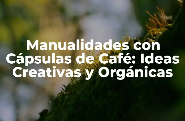 Manualidades con Cápsulas de Café: Ideas Creativas y Orgánicas