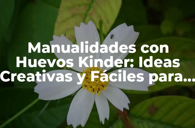 Manualidades con Huevos Kinder: Ideas Creativas y Fáciles para Niños