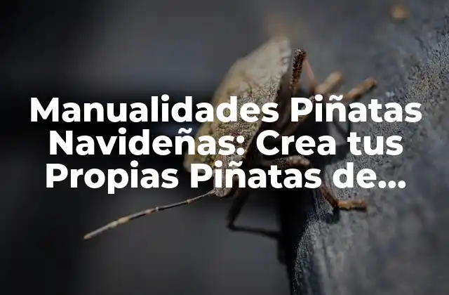 Manualidades Piñatas Navideñas: Crea Tus Propias Piñatas de Navidad