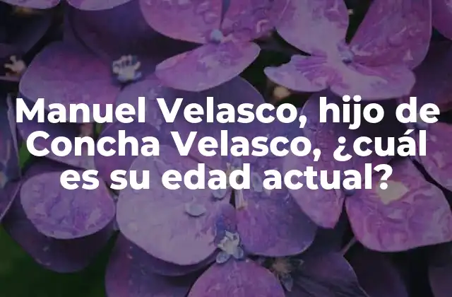 Manuel Velasco, Hijo de Concha Velasco, ¿cuál es Su Edad Actual?