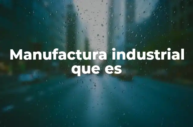 Manufactura Industrial que es