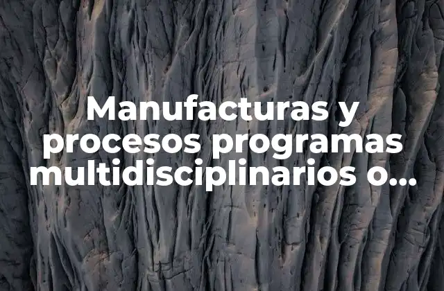 Manufacturas y Procesos Programas Multidisciplinarios o Generales que es 2 Cómo los programas multidisciplinarios transforman la industria manufacturera
