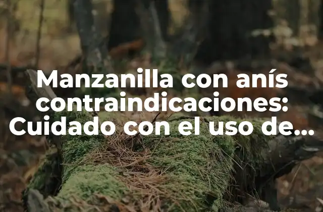 Manzanilla con Anís Contraindicaciones: Cuidado con el Uso de Esta Mezcla Herbal