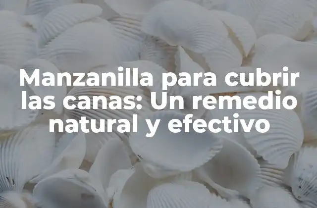 Manzanilla para Cubrir las Canas: un Remedio Natural y Efectivo