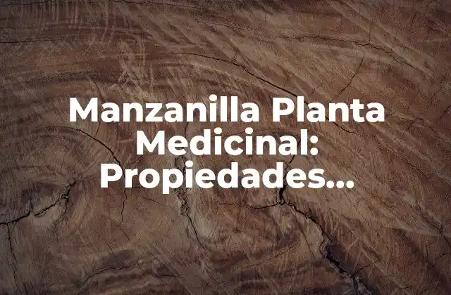 Manzanilla Planta Medicinal: Propiedades, Beneficios y Usos