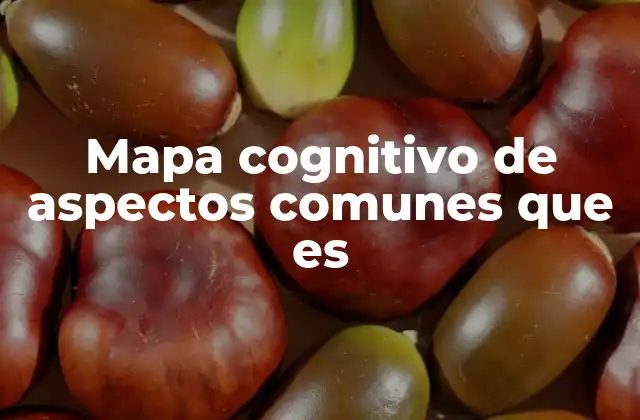 Mapa Cognitivo de Aspectos Comunes que es