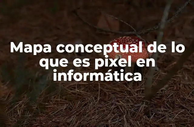 Mapa Conceptual de Lo que es Pixel en Informática