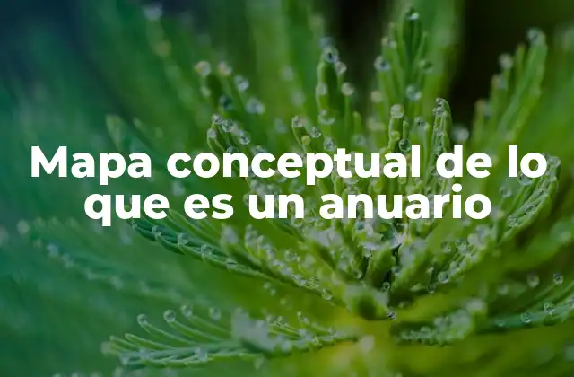 Mapa Conceptual de Lo que es un Anuario