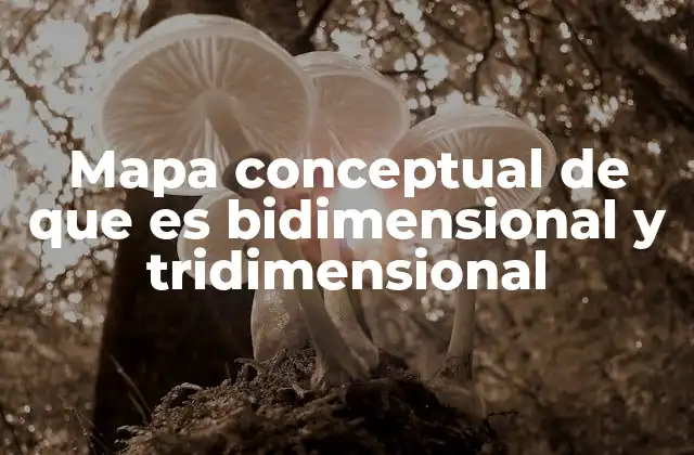 Mapa Conceptual de que es Bidimensional y Tridimensional