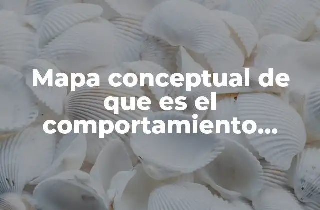 La importancia de visualizar el comportamiento organizacional a través de mapas conceptuales