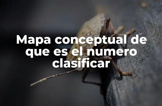 Mapa Conceptual de que es el Numero Clasificar