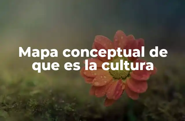 Mapa Conceptual de que es la Cultura