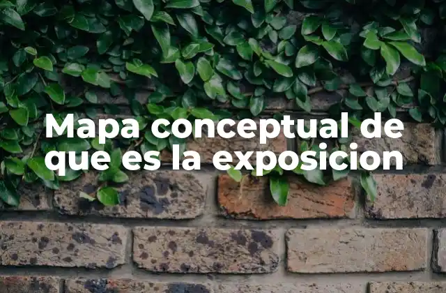 Cómo estructurar un mapa conceptual de qué es la exposición