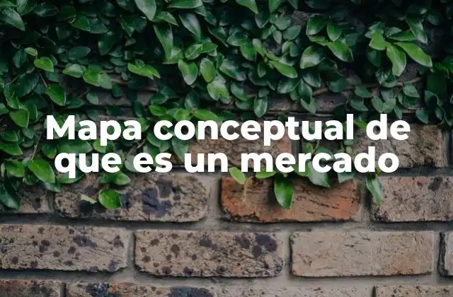 Mapa Conceptual de que es un Mercado