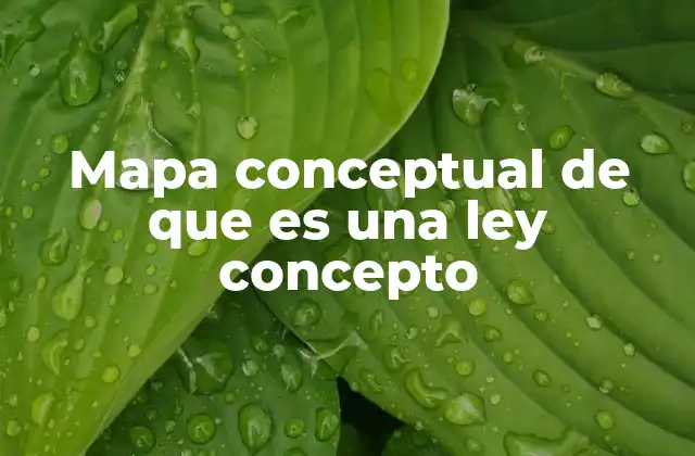 Mapa Conceptual de que es una Ley Concepto 2 El uso de mapas conceptuales para comprender ideas complejas