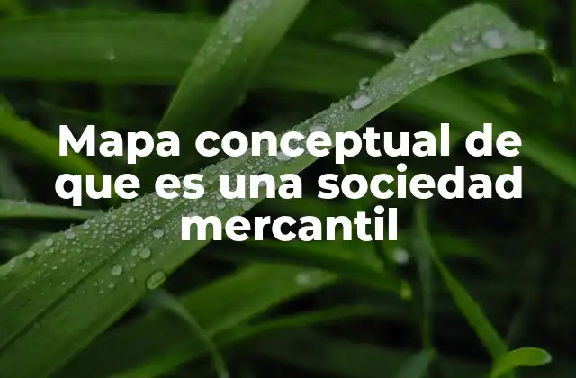 Mapa Conceptual de que es una Sociedad Mercantil