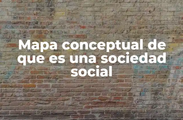 Mapa Conceptual de que es una Sociedad Social