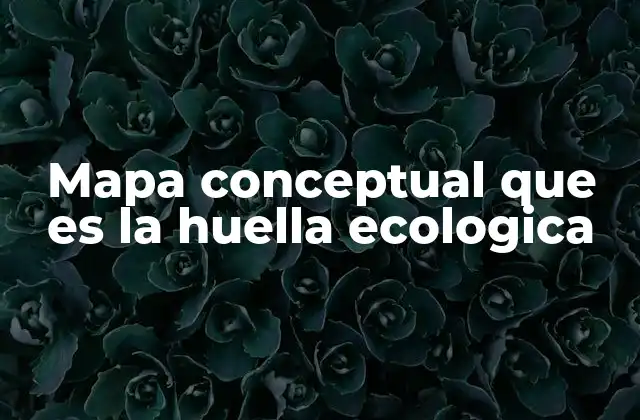 Mapa Conceptual que es la Huella Ecologica