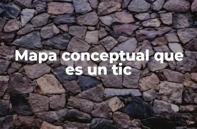 Mapa Conceptual que es un Tic