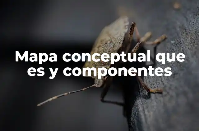 Mapa Conceptual que es y Componentes